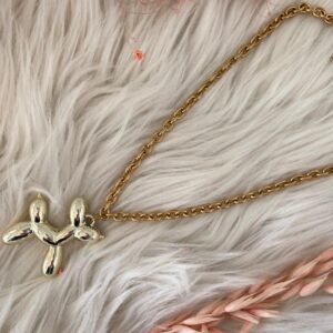 Ketting Ballon Hond